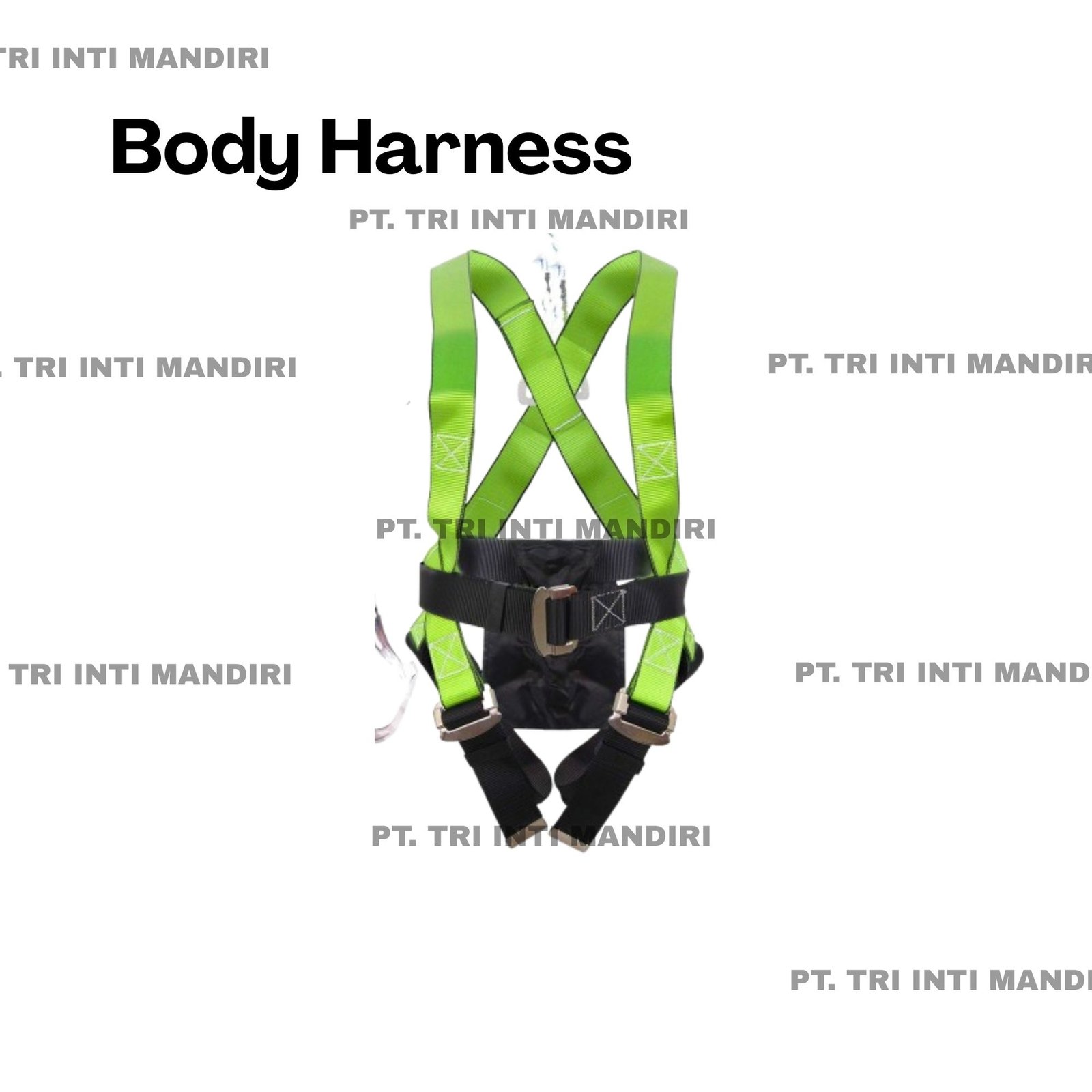 Body Harness