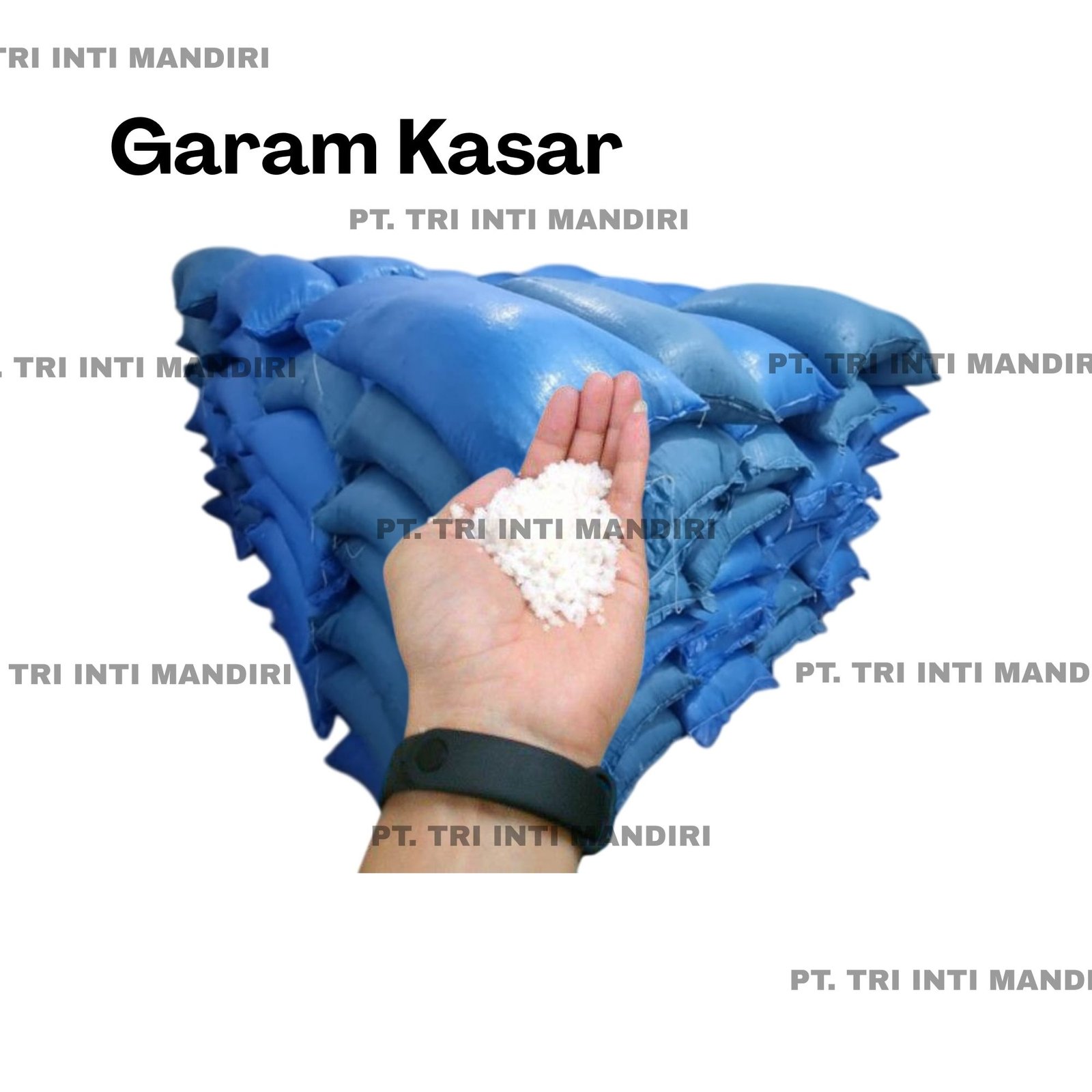 Garam kasar